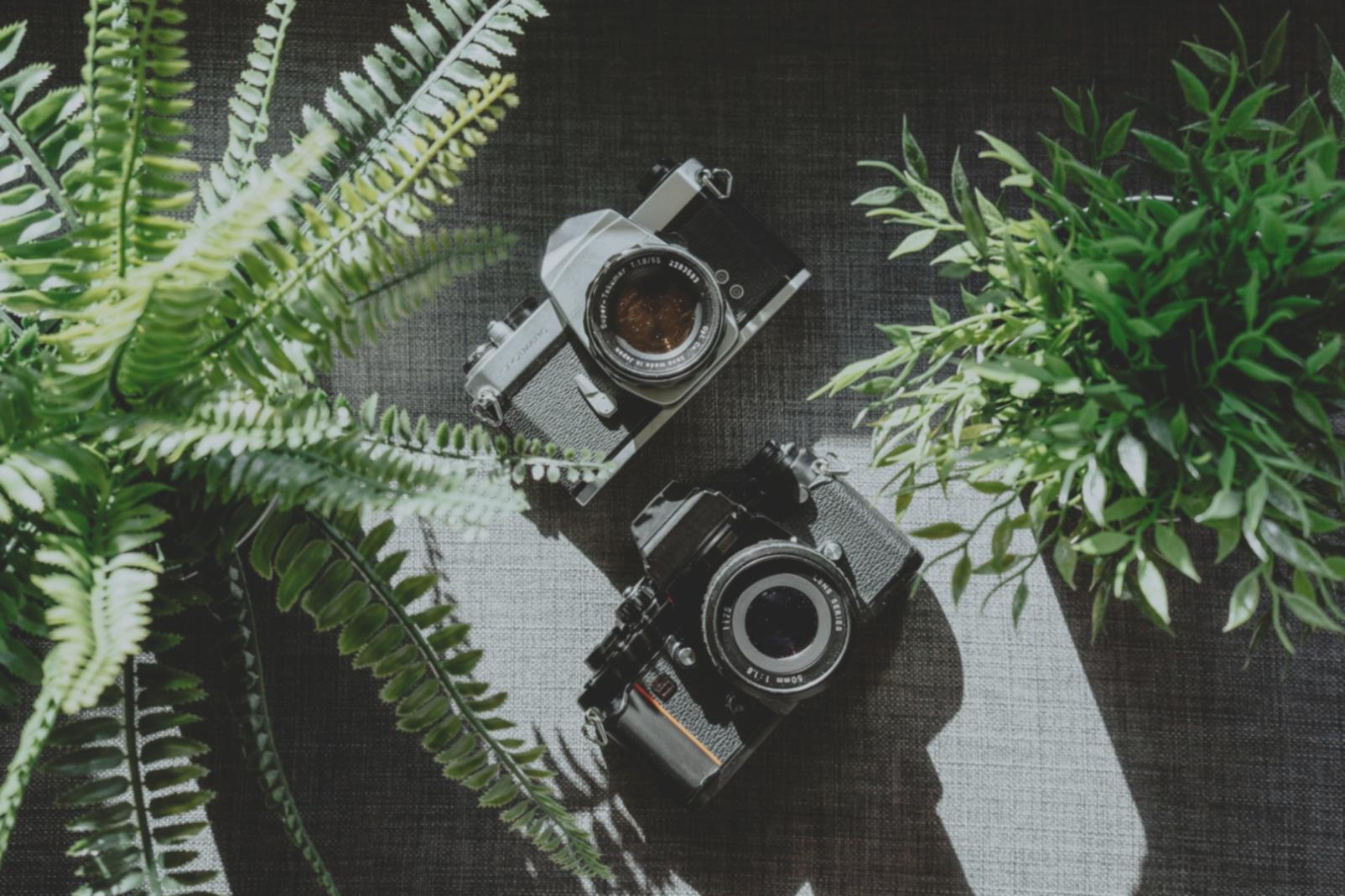Postazione fotografica organizzata per l'apprendimento online